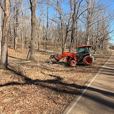 Tree-and-Limb-Cleanup-in-Taylor-MS 3